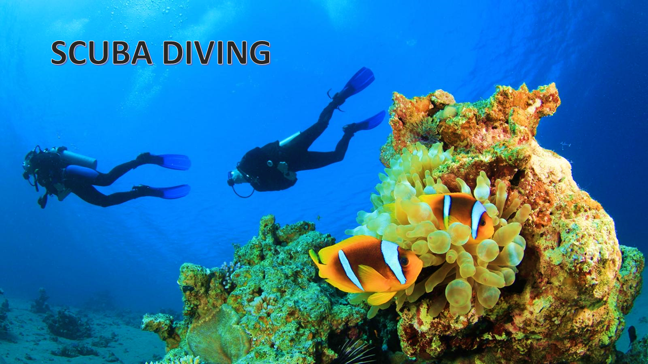  7 BEST PLACES FOR SCUBA DIVING & SNORKELING IN VIET NAM