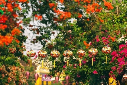 From Da Nang: 5 Days of Cultural Wonders, Scenic Beauty & Immersive Experiences in Central Vietnam From Da Nang: 5 Days of Cultural Wonders, Scenic Beauty & Immersive Experiences in Central Vietnam