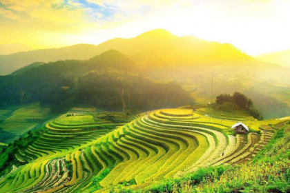 A TASTE OF THE NORTH - A CULINARY JOURNEY THROUGH UNIQUE FLAVORS A TASTE OF THE NORTH - A CULINARY JOURNEY THROUGH UNIQUE FLAVORS