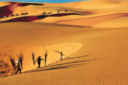 MEKONG DELTA MEETS COASTAL SANDS MEKONG DELTA MEETS COASTAL SANDS